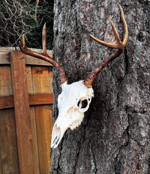 Precision Outfitters