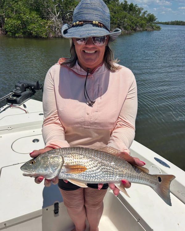 Fish Tank Charters LLC