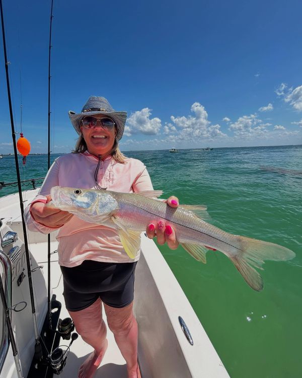 Fish Tank Charters LLC