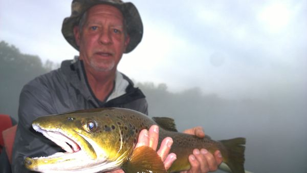 Hooked In The Ozarks - Fly Fishing And Spin Guides