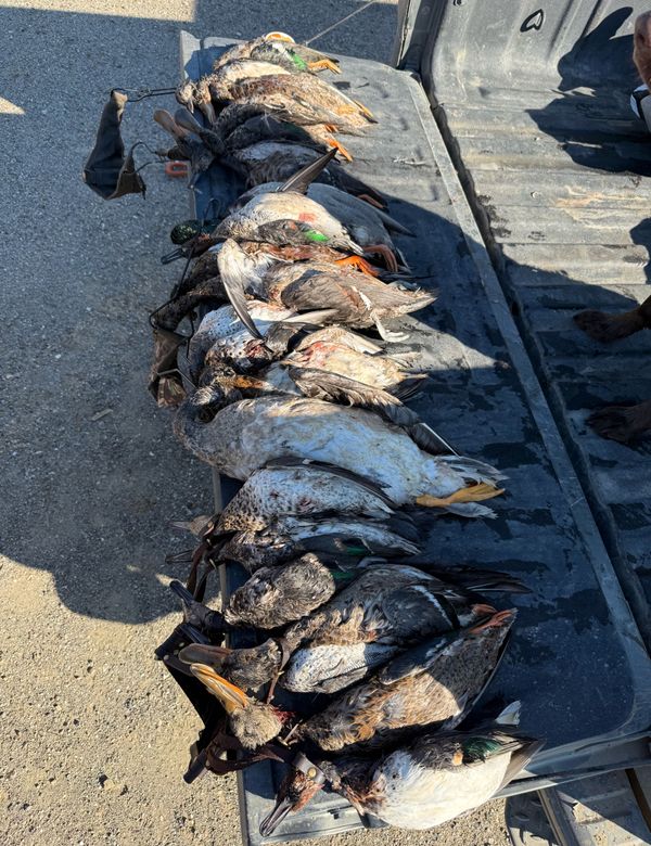 Waterfowl Pursuit Guide Service