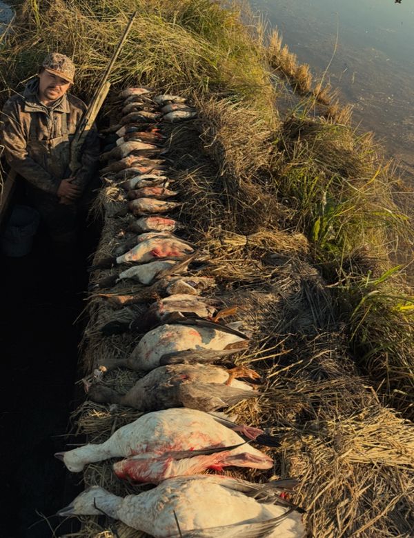 Waterfowl Pursuit Guide Service