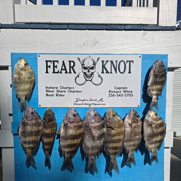 Fear Knot