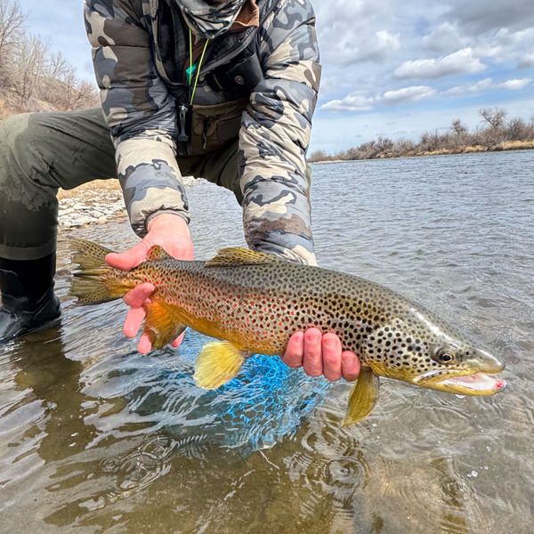 Fish Missoula Fly Fishing Outfitters
