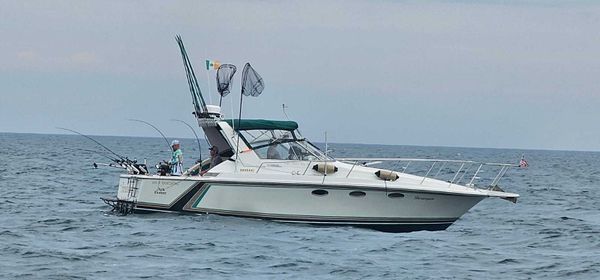 Sea IV Sportfishing 