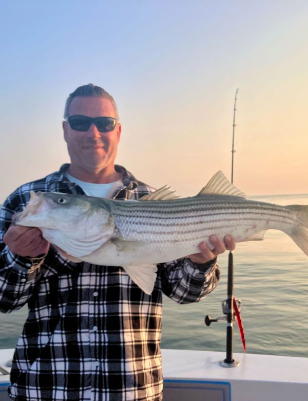 Got Stryper Charters