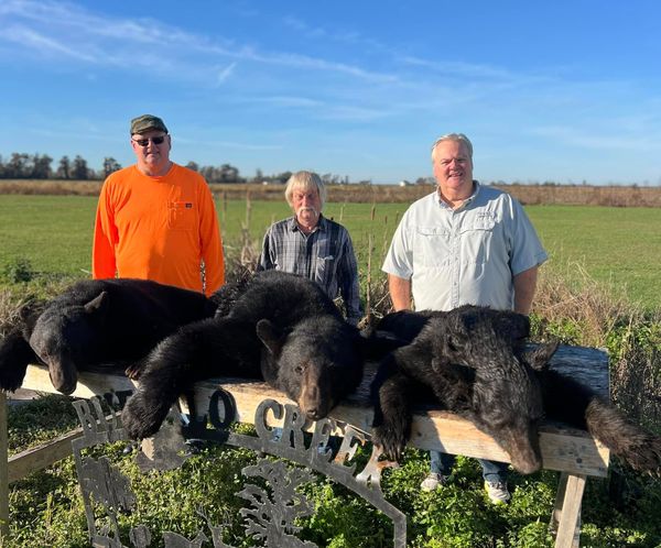 Buffalo Creek Guide Service