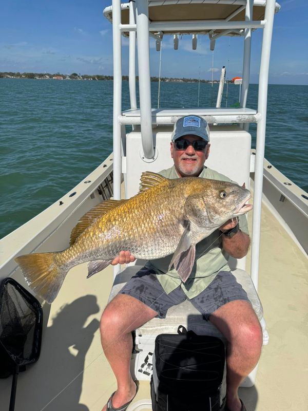 Precision Backcountry Charters