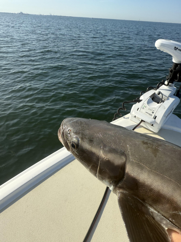 Precision Backcountry Charters