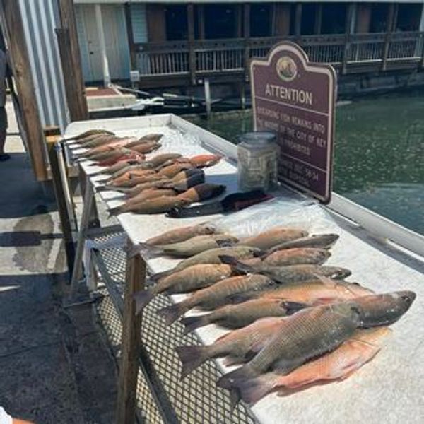 Cora Beth Fishing