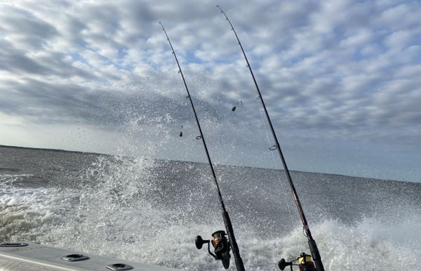 Rockin N Rowan Fish Charters