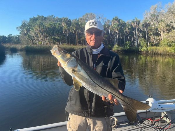 Buccaneer West Coast Charters