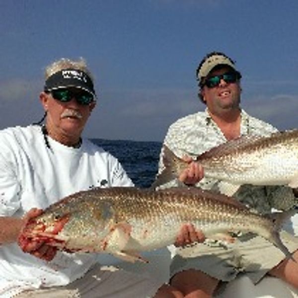 Affinity Charters
