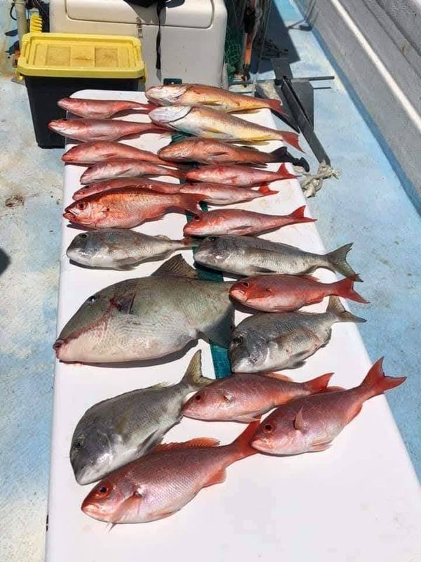 Advanced Fishing with JP