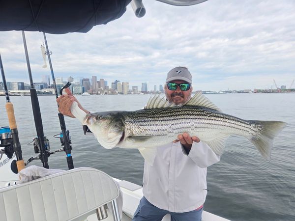 Stormbuster Charters