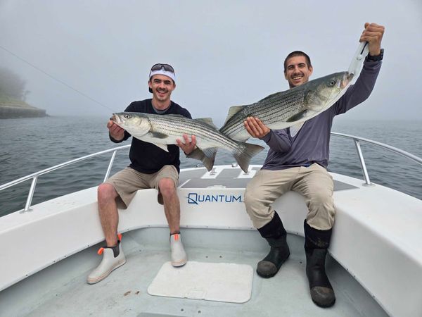Stormbuster Charters