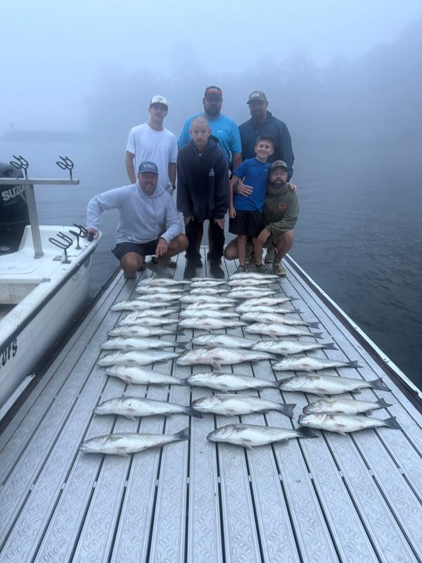 Catch 22 Striper Guide Service