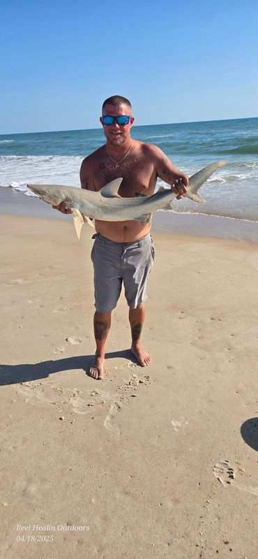Reel Healin Outdoors