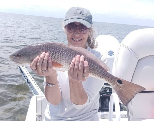 Seize The Bay Fishing Charters