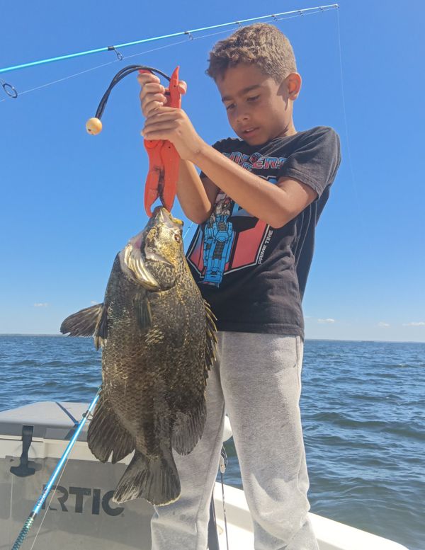 Seize The Bay Fishing Charters