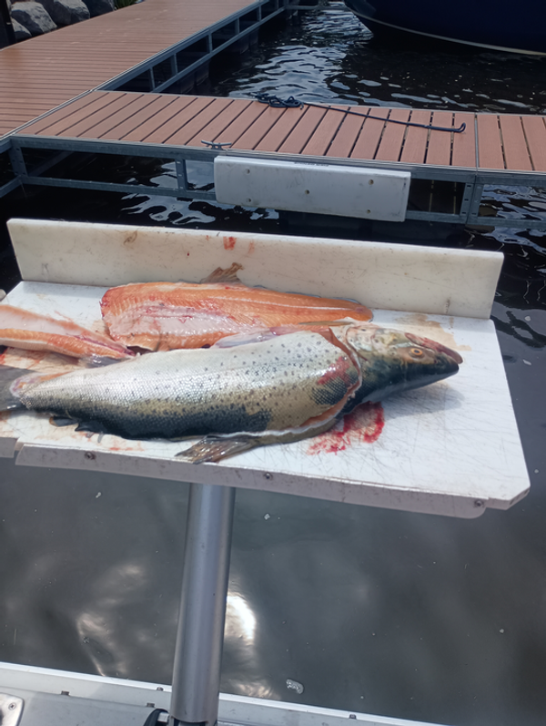 Over The Rail Sportfishing