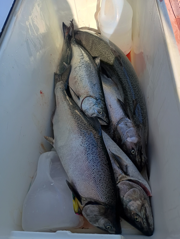 Over The Rail Sportfishing