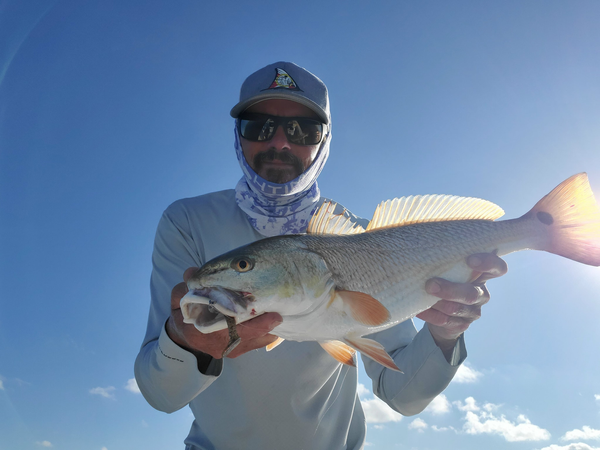 Marsh Dweller Fishing