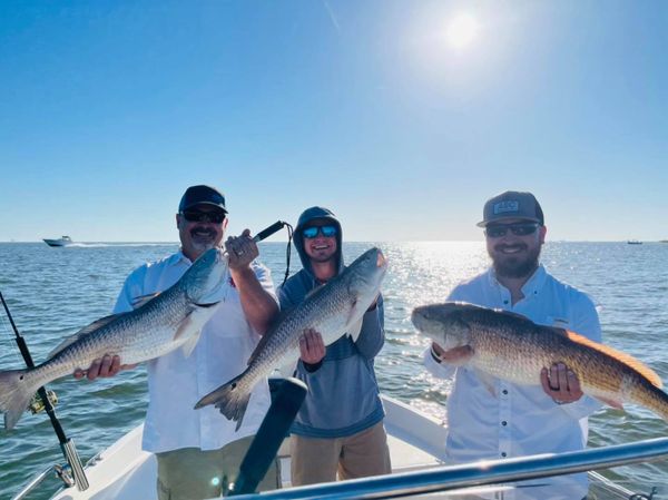 Shallow Encounters Flounder Gigging Charter