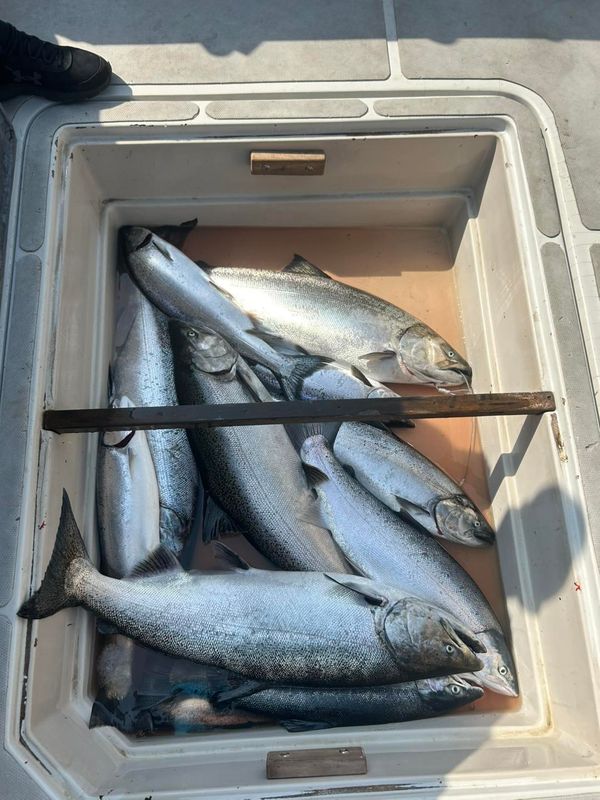 Relentless Charters