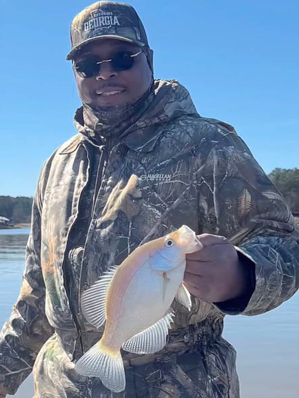 Heron Outdoor Adventures