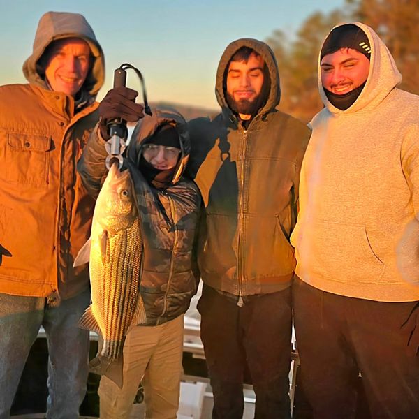 Heron Outdoor Adventures