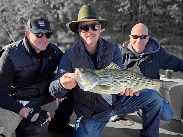 Heron Outdoor Adventures