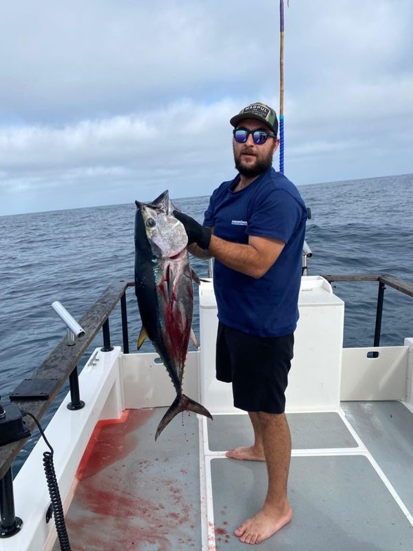 Aria Sportfishing