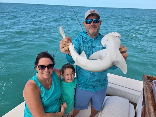 Rampage Fishing on Magic