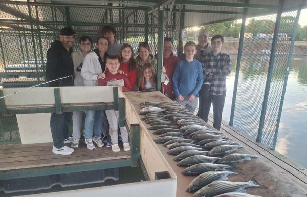 Texoma Striper Adventures