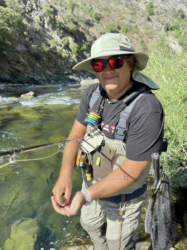 Kings River Fly Guide
