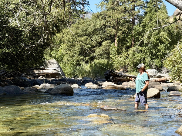Kings River Fly Guide