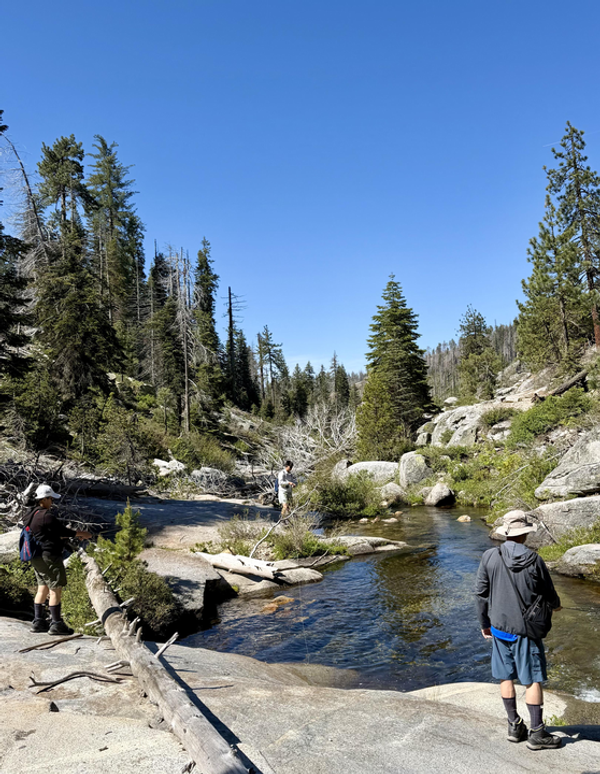 Kings River Fly Guide