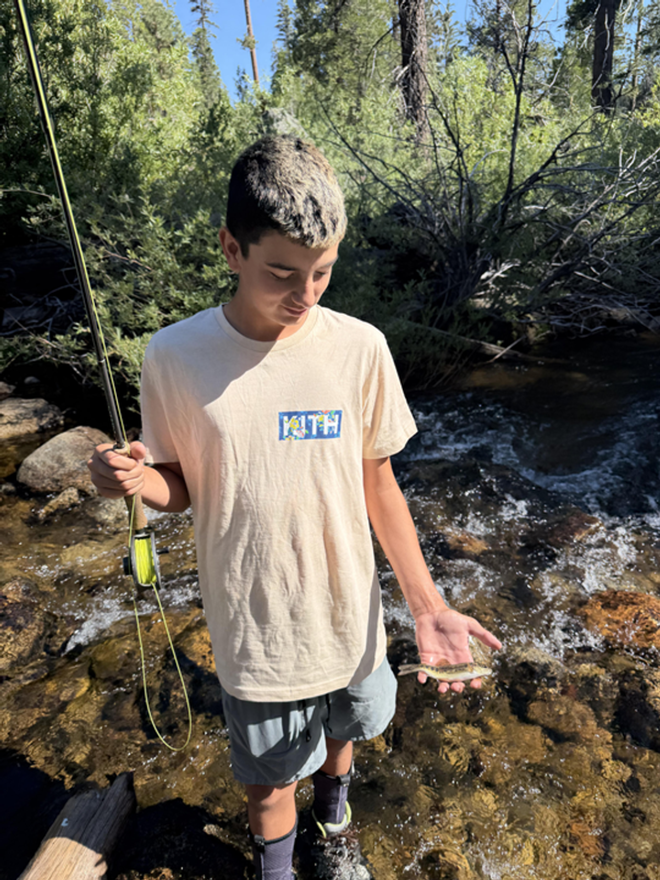 Kings River Fly Guide