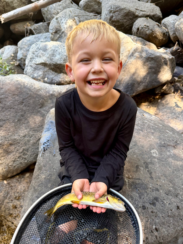 Kings River Fly Guide