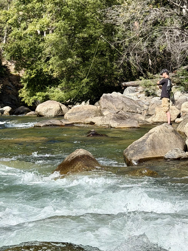 Kings River Fly Guide