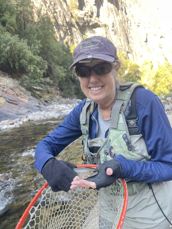 Kings River Fly Guide