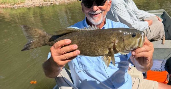 Gasconade River Guide