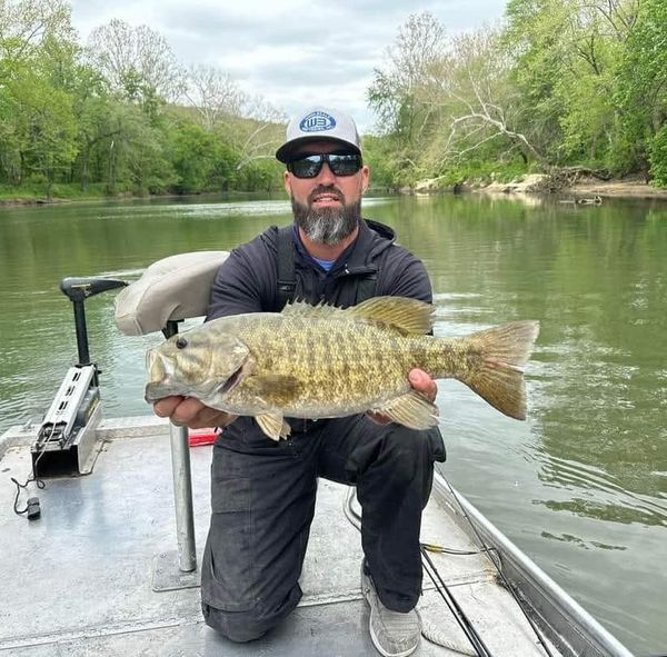 Gasconade River Guide