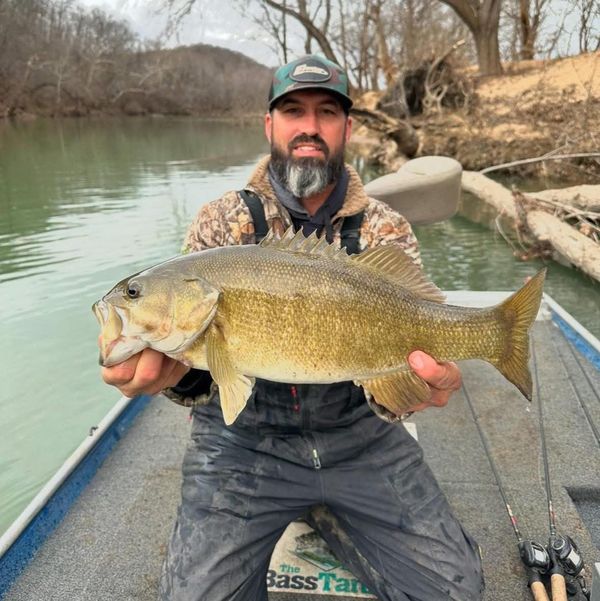Gasconade River Guide
