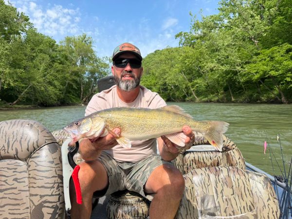 Gasconade River Guide