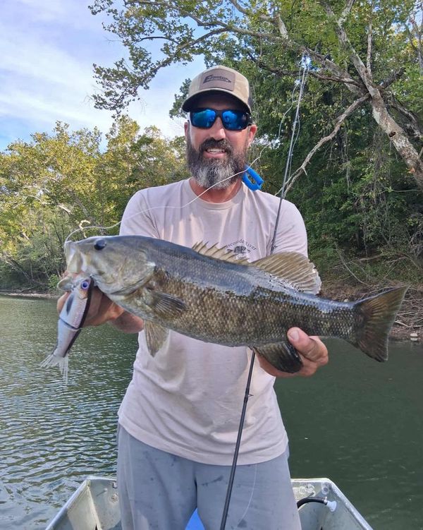 Gasconade River Guide