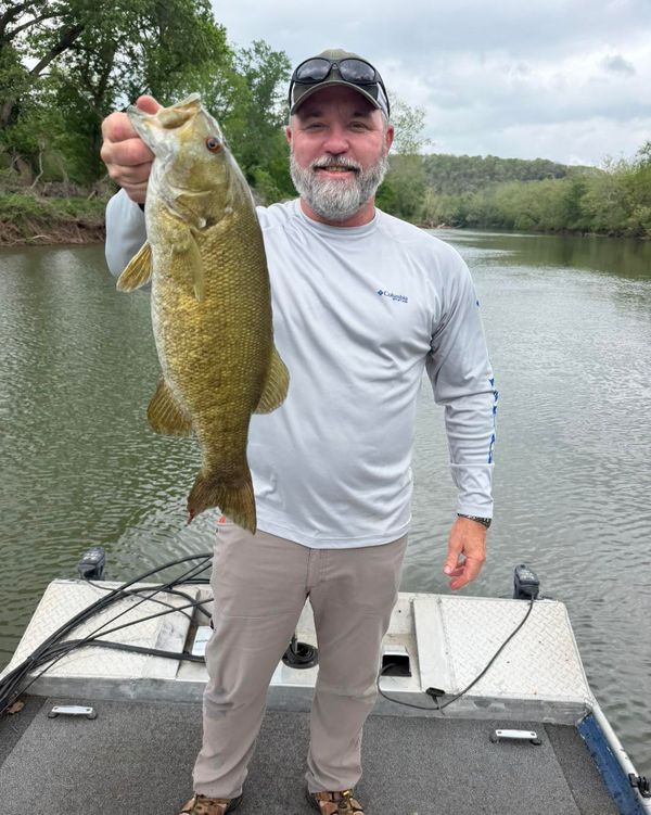 Gasconade River Guide