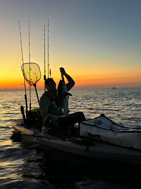 Tactical Tide Kayak Guide LLC