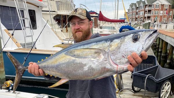 C-Legs Sportfishing
